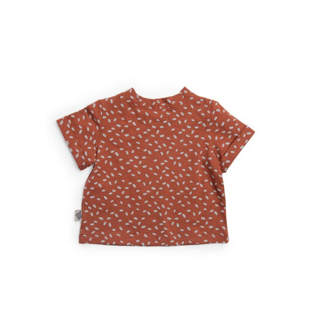 Moulinroty t-shirt jade 36 mnd