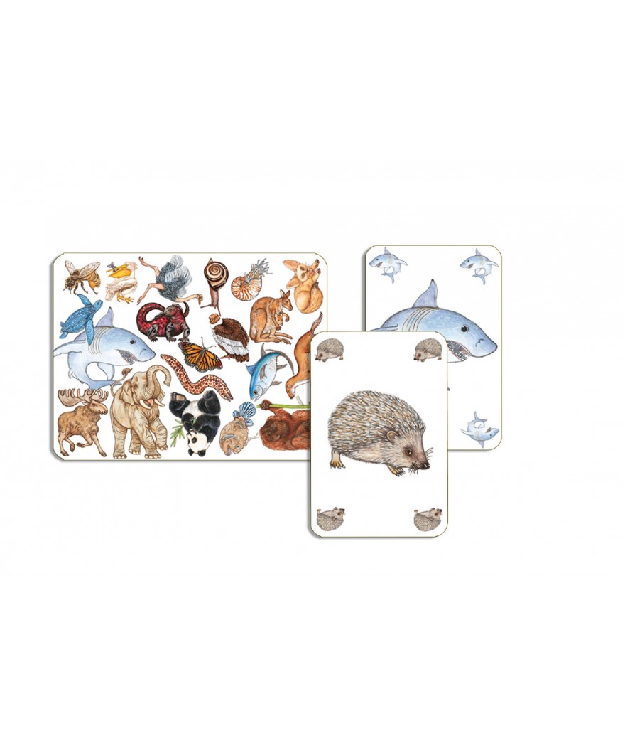 Djeco kaartspel Zanimatch 5+