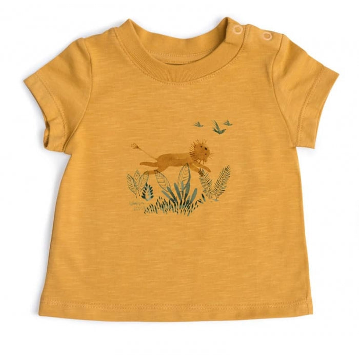 moulinroty t-shirt baptiste 36 maanden