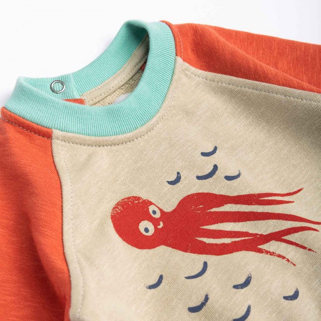 Moulinroty sweatshirt hercule Bord de mer 36 mnd