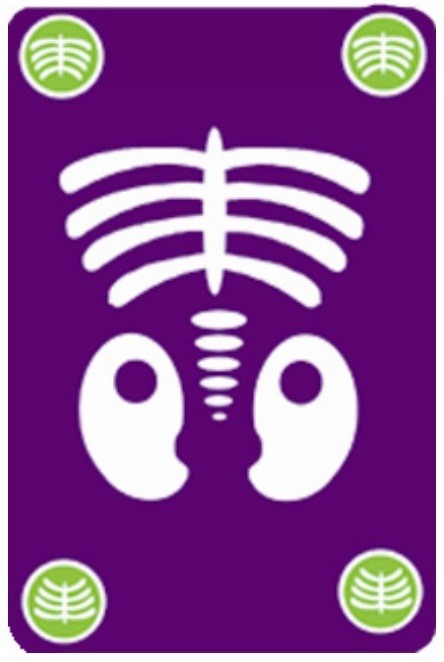 djeco kaartspel bogoss 6+