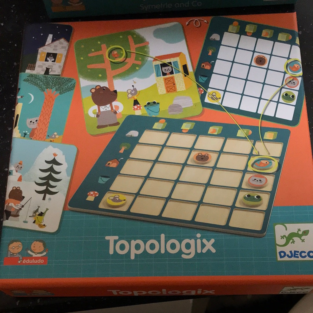 Djeco educatief spel Topologix 4+